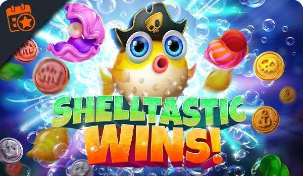 Shelltastic Wins!